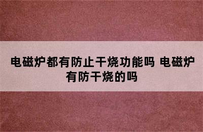 电磁炉都有防止干烧功能吗 电磁炉有防干烧的吗